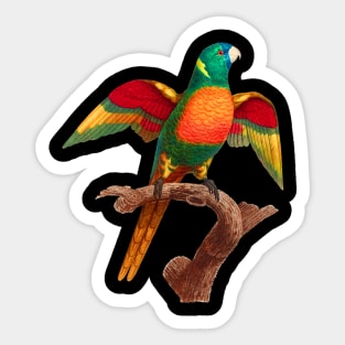 Black Panther Art - Beautiful Parrot 12 Sticker